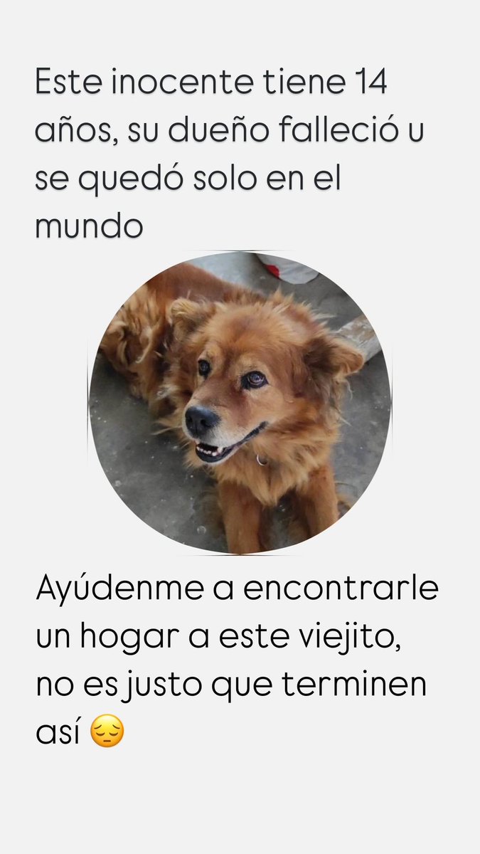 FundacionToby's tweet photo. Contacto 

5551809897

Por favor ayúdenme, no entiendo la crueldad de la gente https://t.co/KDo4rgXuLs