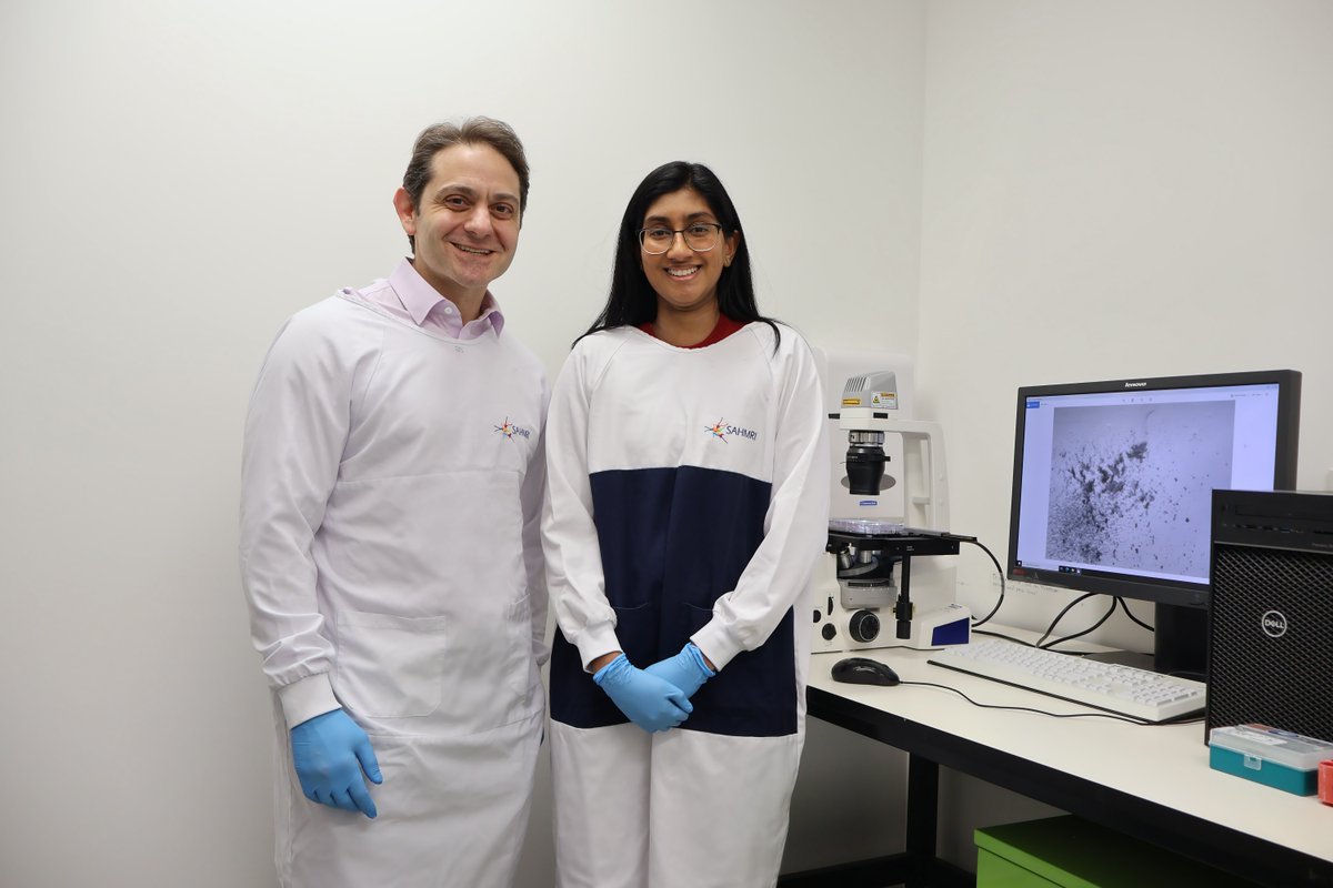 A team of SAHMRI scientists has discovered a new type of cell with the potential to enhance the future of tissue repair and generation. 

Cells with similar functions have been theorised to exist for over a century but, until now, had never been found.

📰 sahmri.au/New-Cell-Type