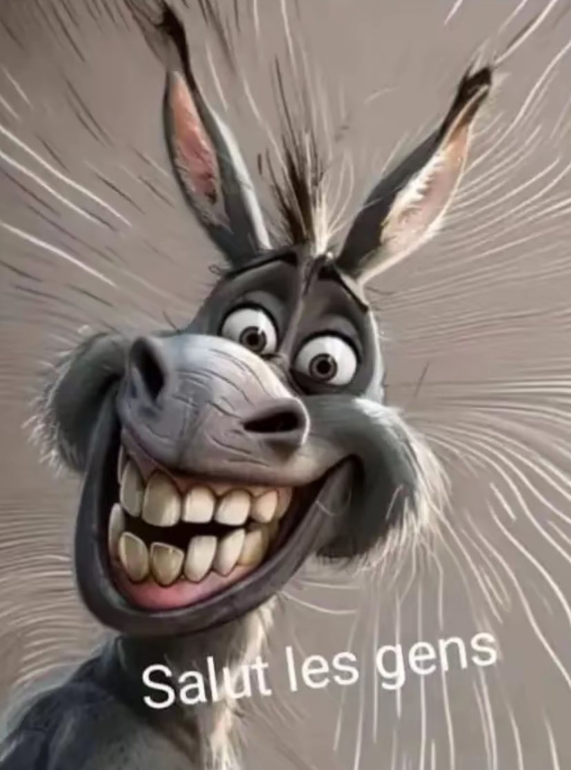 mickael 🇫🇷⚡️🙋♂️🏃♀️🏃🏽♂️🐕🐈🐾🇫🇷 tweet media