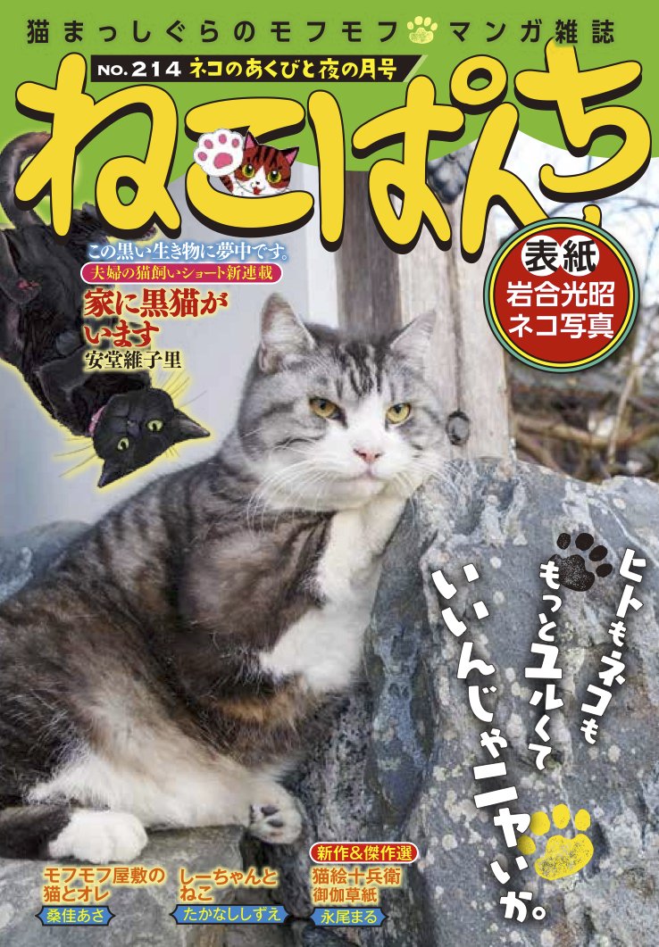 ねこにゃ様専用 ねこにゃ様専用ページ - メルカリ