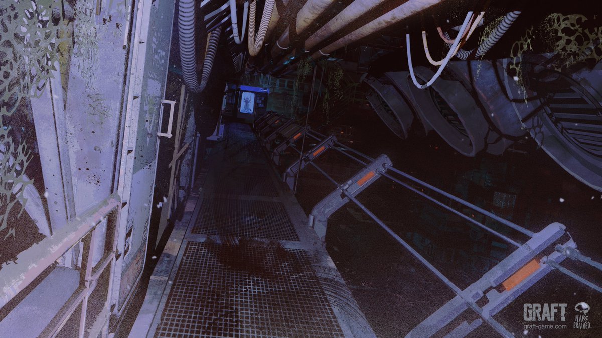 Mike McCain tweet media