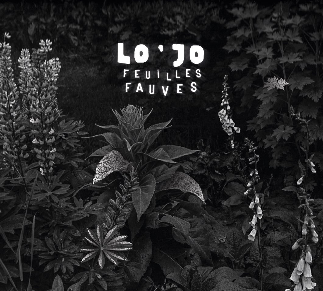 LO'JO [Official] tweet media