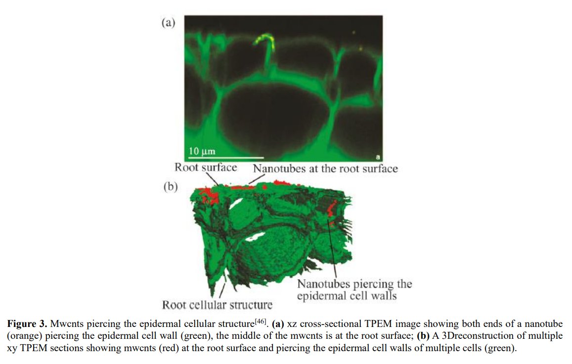 ApacPublisher's tweet image. 🔍Advances in Analytic Science (ISSN: 2811-0129)
🧑‍🔧Advancements in analytical techniques for carbon nanomaterials
✍️Xiu Huang, Qian Liu, Guibin Jiang
🔗doi.org/10.54517/aas.v…
#CarbonNanomaterials #AnalysisMethod #CarbonNanotubes #Graphene #Marking #Imaging
