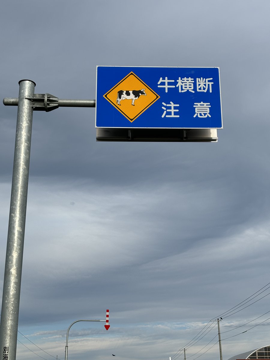 別海町の郊外を車で通ると、しばしば見かける「牛横断注意」の看板。今
