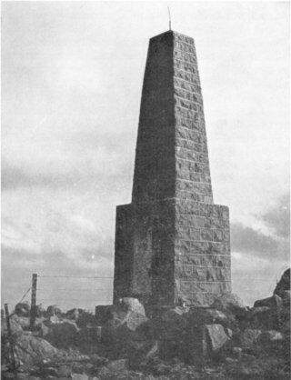 Mike the Warthog tweet media