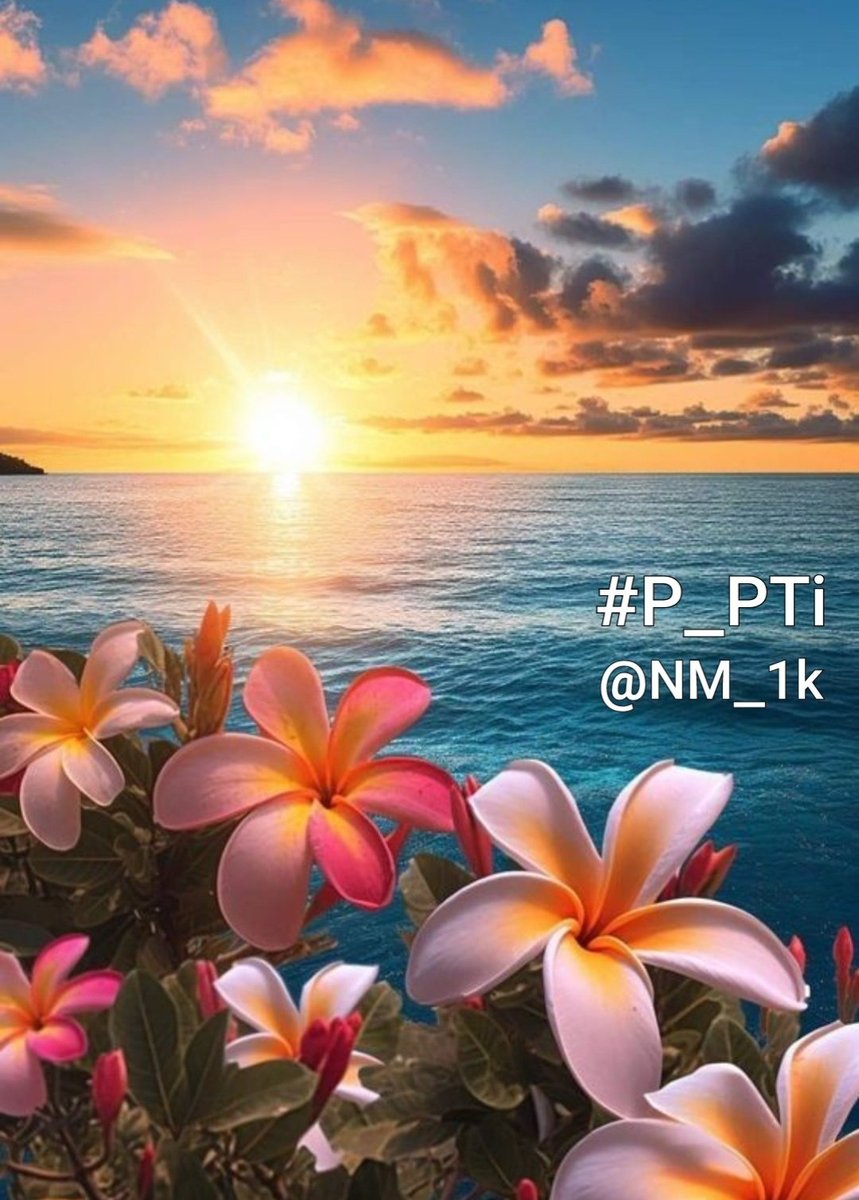 NM1k_'s tweet photo. #P_PTi @MNPTi1 👪
@NM_1k @NM_2k1
@As_t40 @P_PTi4
@Ik1i7 @Y22NY
@br6n_
@I_G68
@Pir_80
@Dni_40
@nbea_h
@R1_Adv
@shz787
@Qrt804
@Lu_v_u2
@Aa_ban1
@__Alan2
@mun_r78
@zimal293
@zarva_786
@zubm9231
@TlayAnl1903
@skhanpti444
@CarloSportfan
@AZEEMVIRK30
@JanKaptain34155
@maheshb88671850 https://t.co/KqzUyDFrot