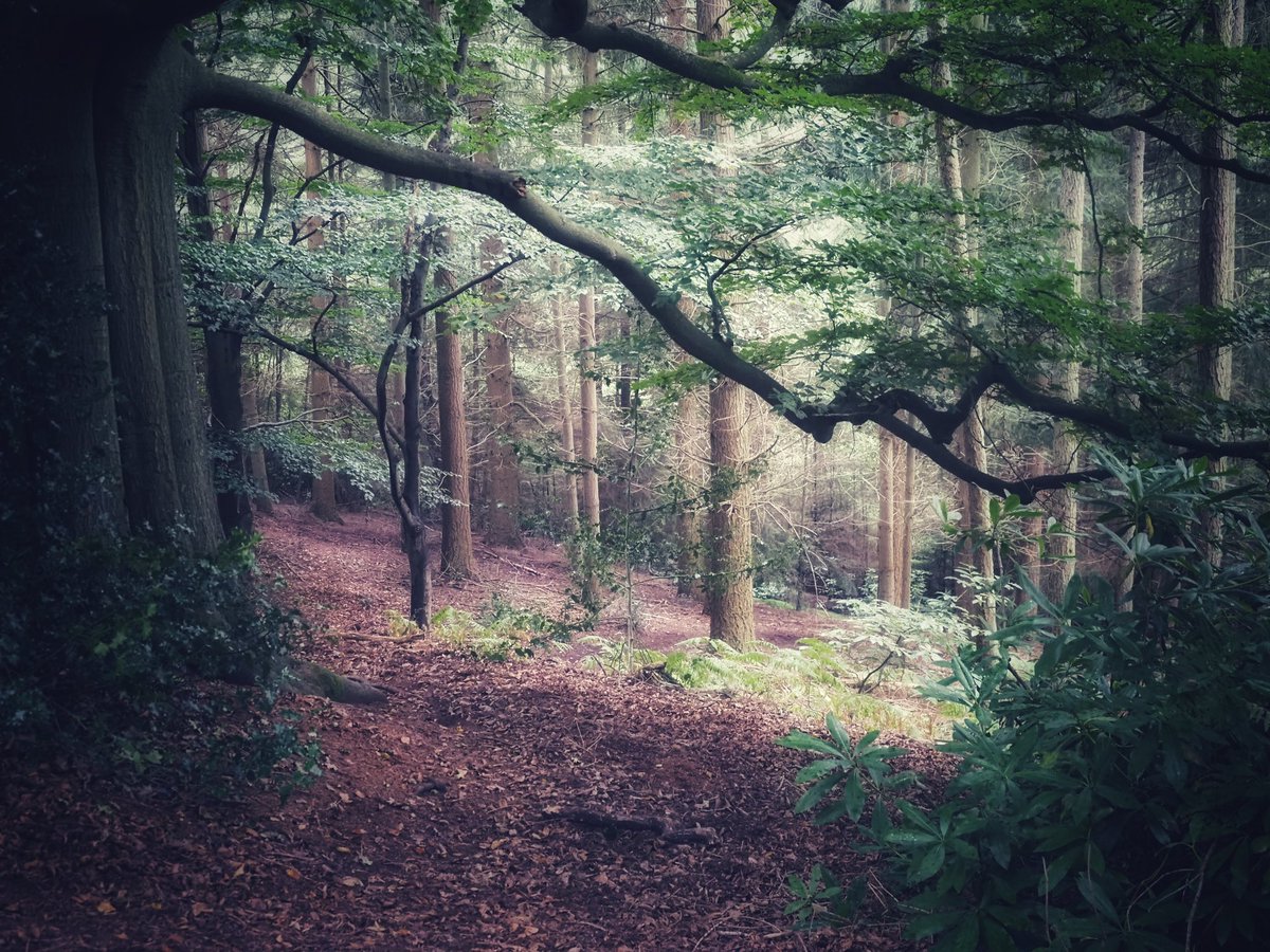 Hello autumn! Oooh I do love this time of year! 🍂 My pictures may not make the news, or calendars, or make me money, but the joy I have when taking them, is priceless 💕 Get out there and enjoy this time of year, you won’t regret it! 🍂🍁🎃🍃