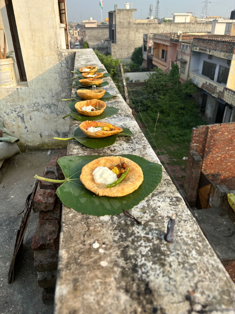 iamShivathakurR's tweet image. पितृ पक्ष में कौवों को भोजन कराना काफी महत्वपूर्ण माना जाता है । शास्त्रों के अनुसार श्राद्ध करने के बाद जितना जरूरी ब्राह्मण को भोजन कराना होता है, उतना ही जरूरी कौवों को भोजन कराना होता है।#Jaidadaki #acst