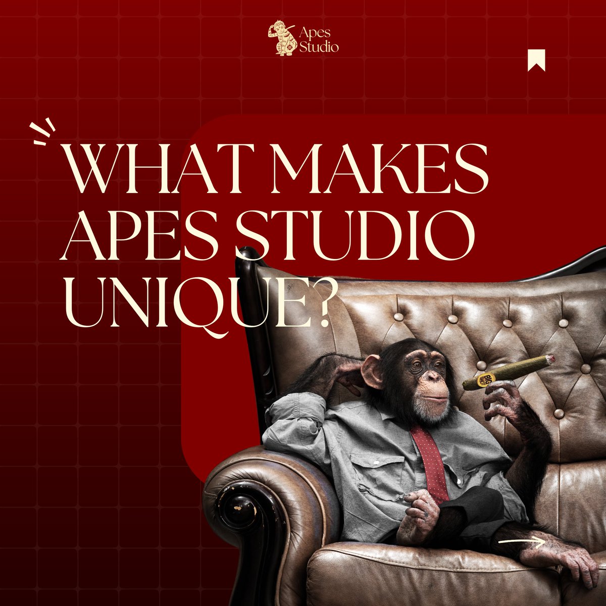 Apes_Studio_'s tweet image. We craft stories that resonate.
Here’s why our approach sets us apart:
1️⃣ Personalized Strategy
2️⃣ Creative Scriptwriting
3️⃣ High-Quality Video Editing
4️⃣ Monthly Growth Reports

#InnovateCreateEvolve #ApesStudio #ContentCreation #BrandGrowth #VideoMarketing