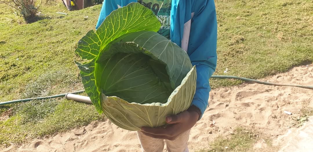 MisterMathula's tweet photo. The Next Generation of Millionaires in Africa is Going to come from the Agricultural Sector💯
#letsmakefarmingfashionable #Impendle #Julius #Durban #Sign #Konka #Trending #Goats #Farming #KZN #MK https://t.co/Ar3bOwbSgJ