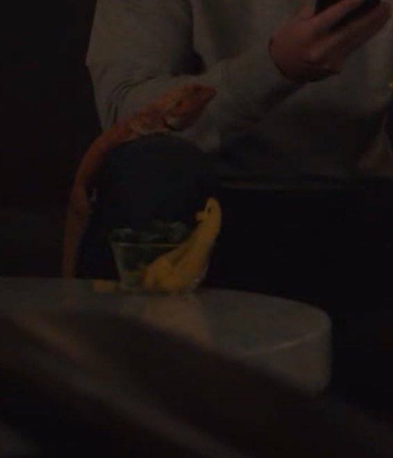 chloe🦆✌🏻 tweet media