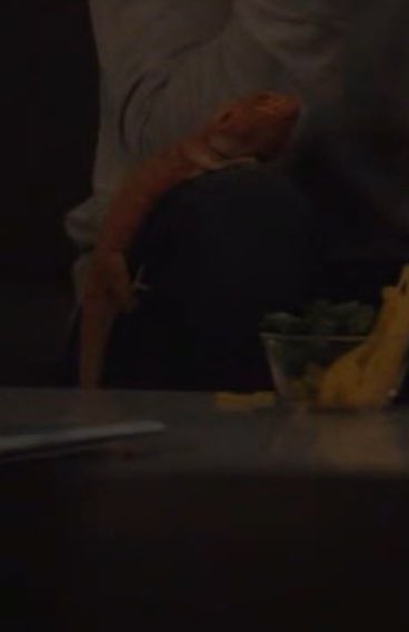 chloe🦆✌🏻 tweet media