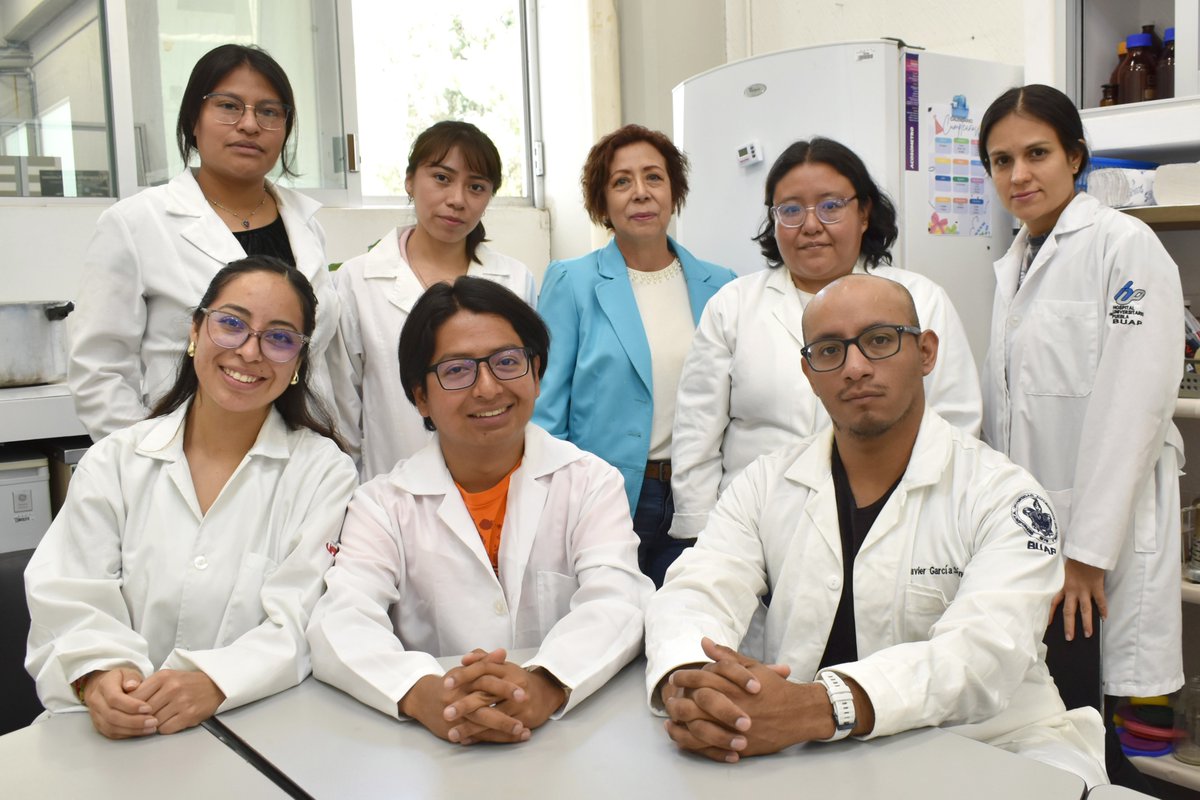 CholuLove's tweet photo. Investigadoras de la @BUAPoficial han demostrado que los extractos de pápalo y pipicha inhiben el crecimiento de bacterias patógenas. 

https://t.co/DXYSozsbkS https://t.co/jHMXM1yMu1