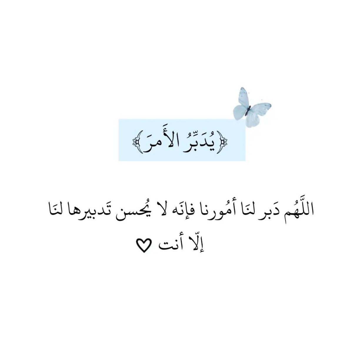 قصّاصَات (@warrq_) on Twitter photo 