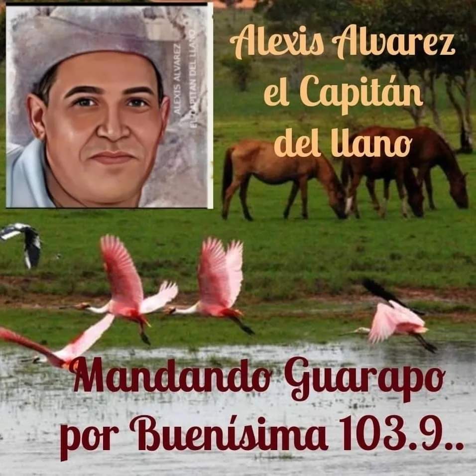 Alexis Alvarez. tweet media
