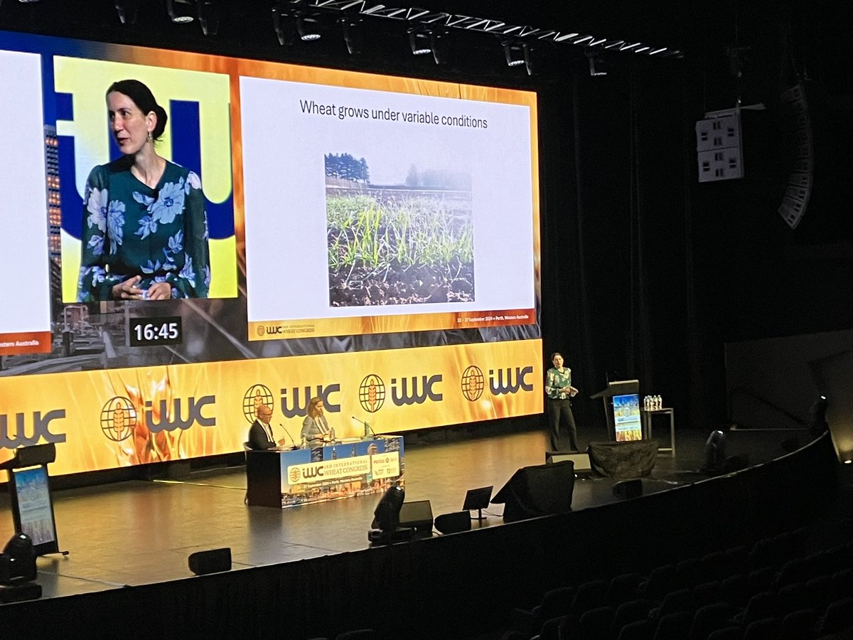 Scott Boden (@sbodes12) on Twitter photo Thanks for the really inspiring talk about the molecular response of wheat flowering to higher temperatures, <a href="/Dixon_LE/">Laura Dixon</a> <a href="/tweeticum/">Tweeticum_aestivum</a>! #IWC2024Perth Thanks for the really inspiring talk about the molecular response of wheat flowering to higher temperatures, <a href="/Dixon_LE/">Laura Dixon</a> <a href="/tweeticum/">Tweeticum_aestivum</a>! #IWC2024Perth