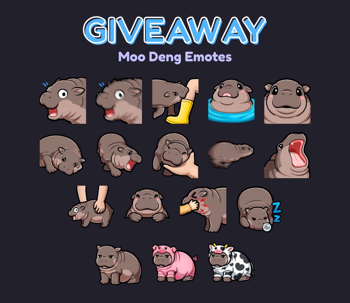 iUkuleleGirl's tweet image. 🚨 Moo Deng Emote Giveaway 🚨

Since the packs got so much love, I've decided to giveaway all 17 emotes I made of her to 3 lucky winners!

Rules: 
➡️Follow me (@iUkulelegirl)
➡️Repost (no quotes)
➡️Tag a friend 

Giveaway ends September 27th

#Moodeng #Giveaway