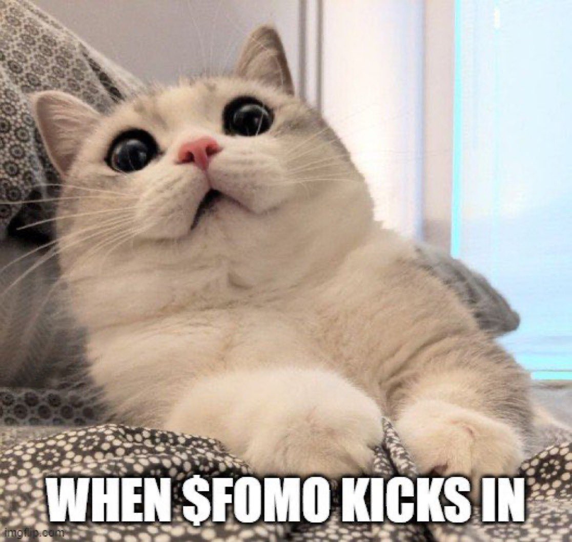 onIysnacks's tweet photo. @Regrets10x you should feel $fomo

Anfi21ZzsDGroG4bTHK22aH3bMV1wREFEBmSYQTCcmJV https://t.co/yKPzUezXPd