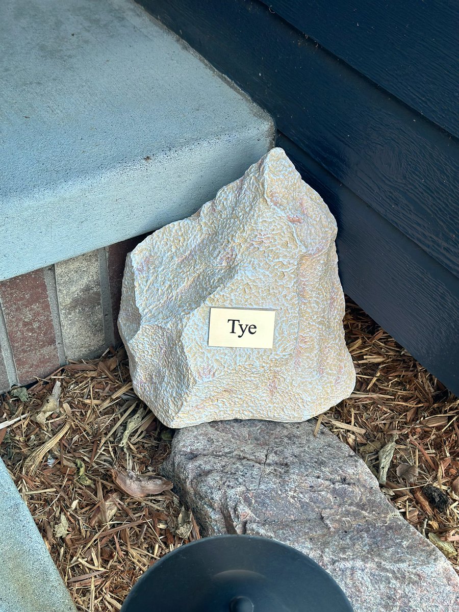 Tye came home today.  Eco Animal cremations did an amazing job.  The little bag with all his different colored fur made me tear up.  I know where color was on his body.  Welcome home buddy.