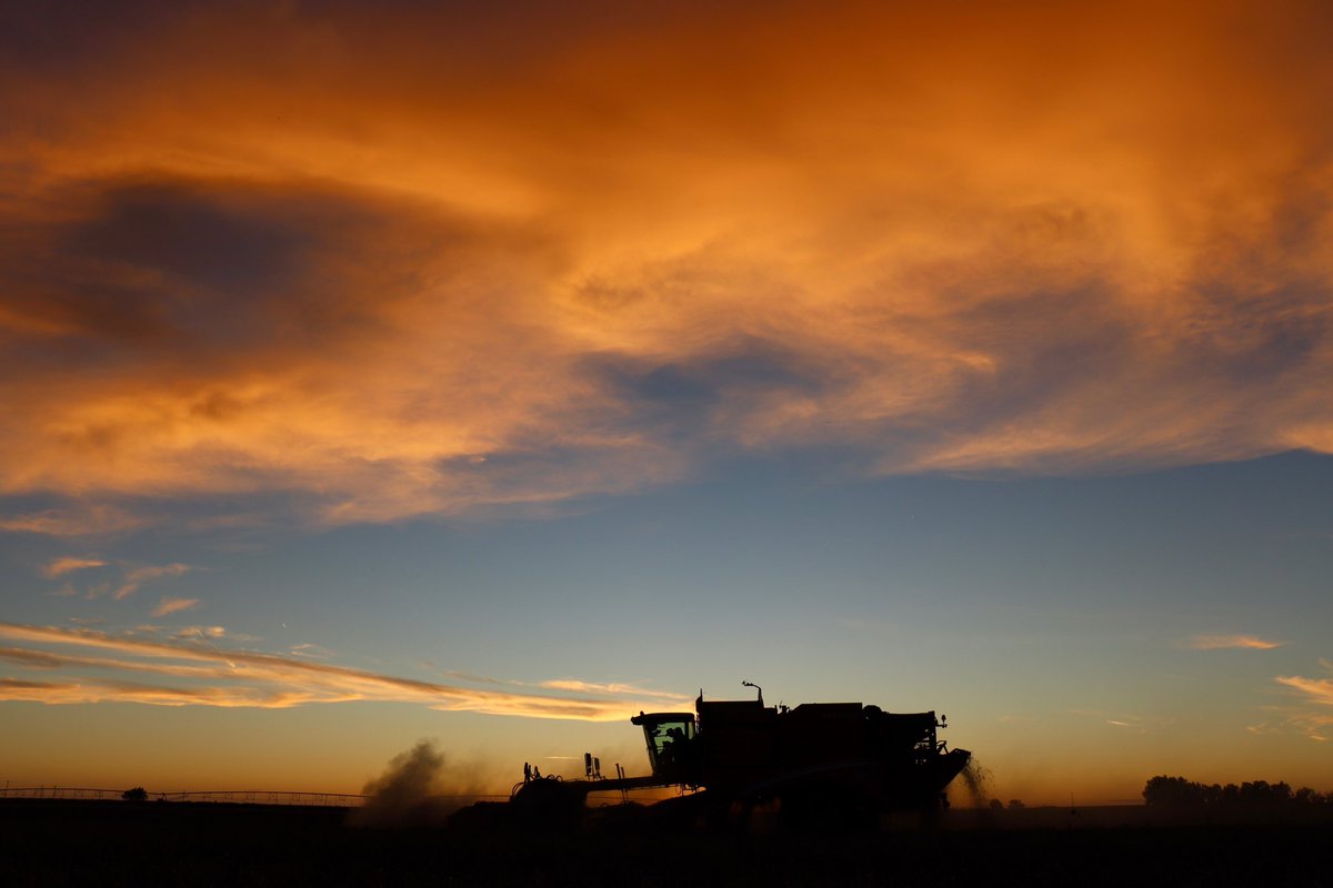 Tim Halsema tweet media