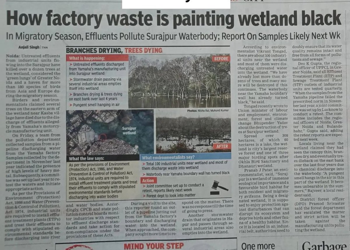 Anjali singh (@scribe_anjali) on Twitter photo After over 8 months of my report over the critical condition of the Surajpur wetland , Pipes Polluting Wetland Razed, Drain Set To Be Demolished Too.
<a href="/vikranttongad/">Vikrant Tongad Environmentalist</a>
google.com/amp/s/timesofi… After over 8 months of my report over the critical condition of the Surajpur wetland , Pipes Polluting Wetland Razed, Drain Set To Be Demolished Too.
<a href="/vikranttongad/">Vikrant Tongad Environmentalist</a>
google.com/amp/s/timesofi…