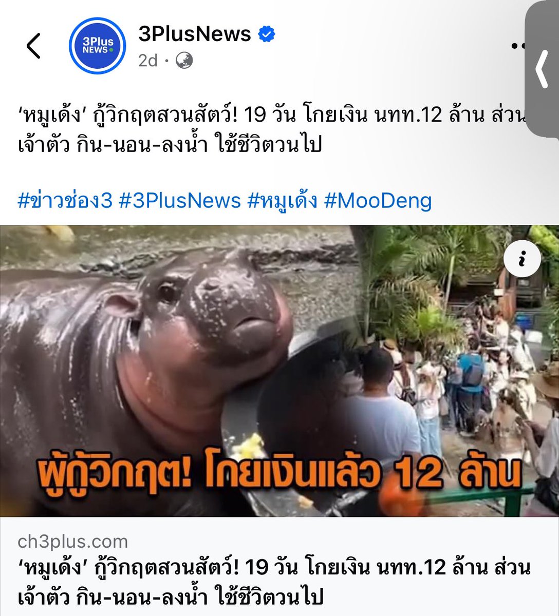 prawitpj tweet media