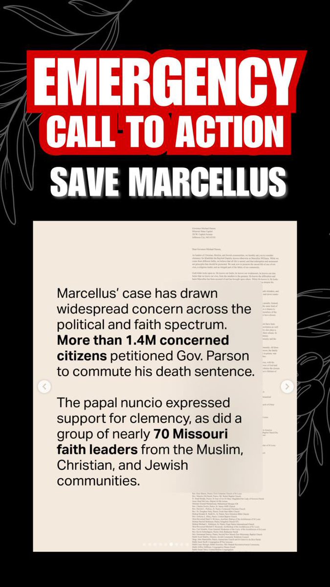 Operation Olive Branch tweet media