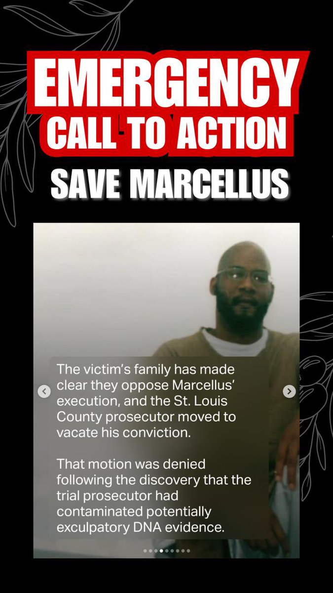 Operation Olive Branch tweet media