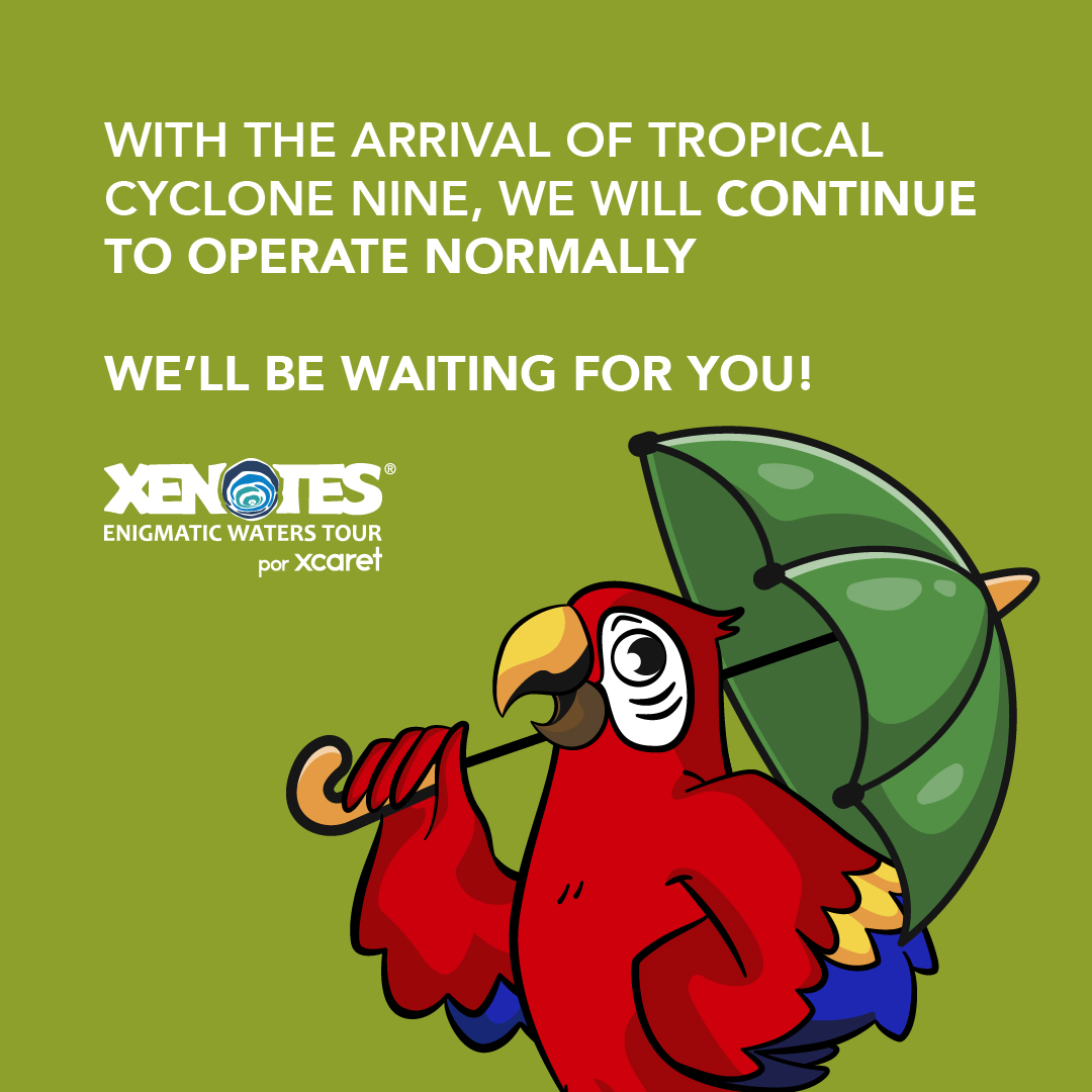 🍃 Aviso, esta semana #TourXenotes operará con normalidad. 
🍃 Notice, this week #TourXenotes will operate normally.