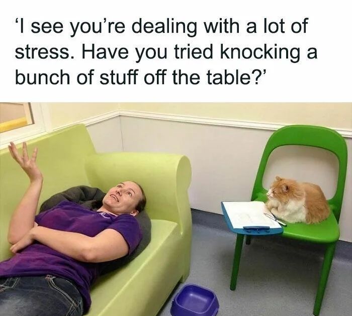 WholesomeMeme's tweet photo. https://t.co/aS4LS9QpQX