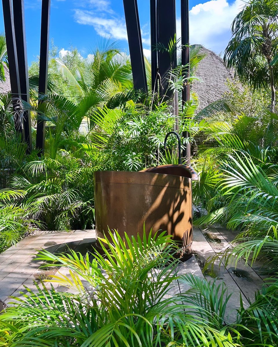 samiealachrafi's tweet photo. Moments from our autumn Conscious Leadership retreat in Mexico.

#consciousleadership #time4humanity https://t.co/LYeYJ8wox7
