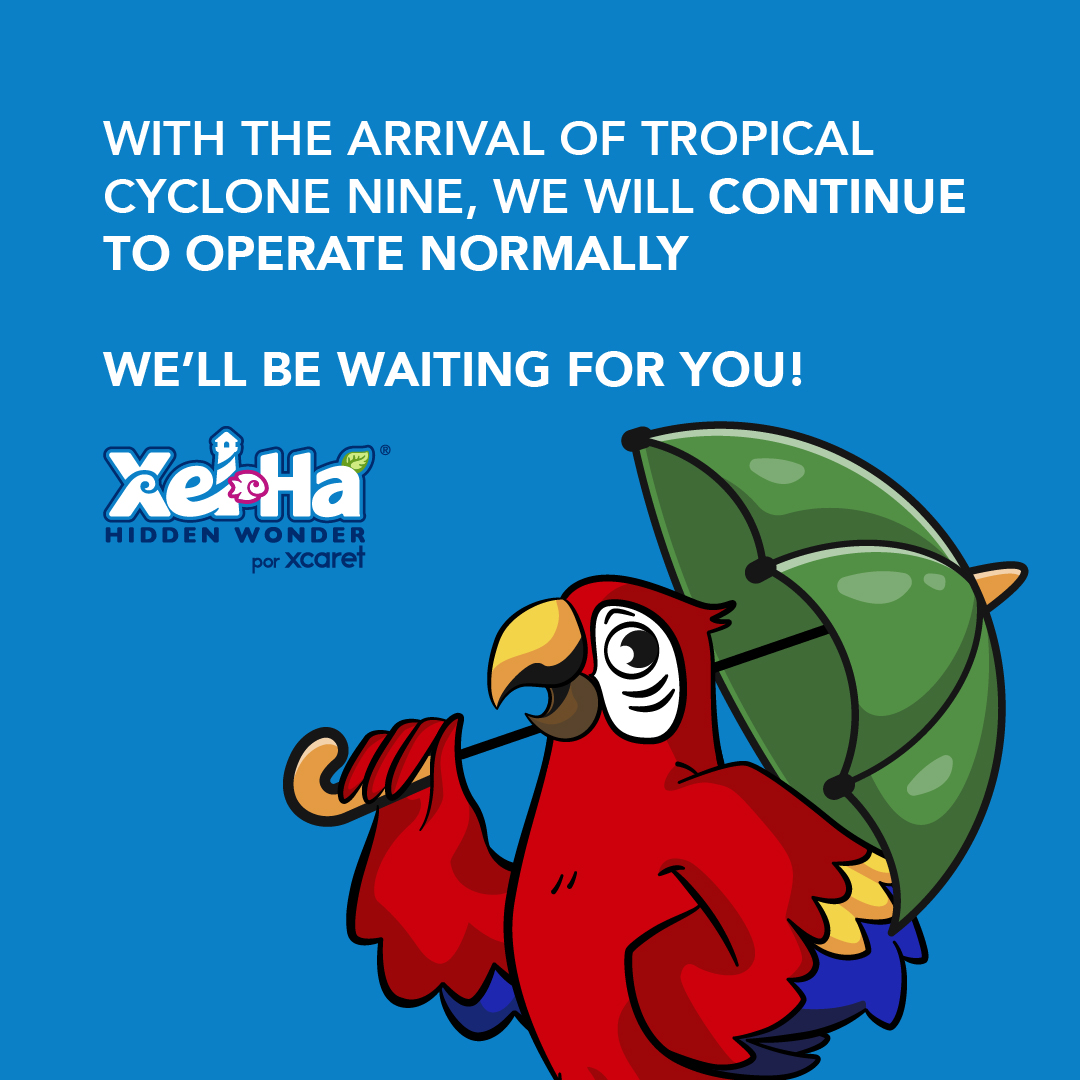 ☂️ En la Maravilla Natural estaremos listos para recibirlos. 🤿
☂️ In the Natural Wonder we will be ready to receive you. 🤿