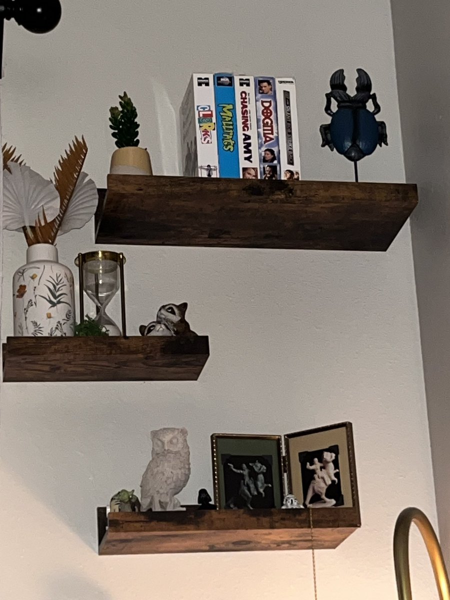 _Stacey_C_'s tweet photo. @ThatKevinSmith appreciation day is every day in our home. 🥰 https://t.co/lgj2Jjq4C9