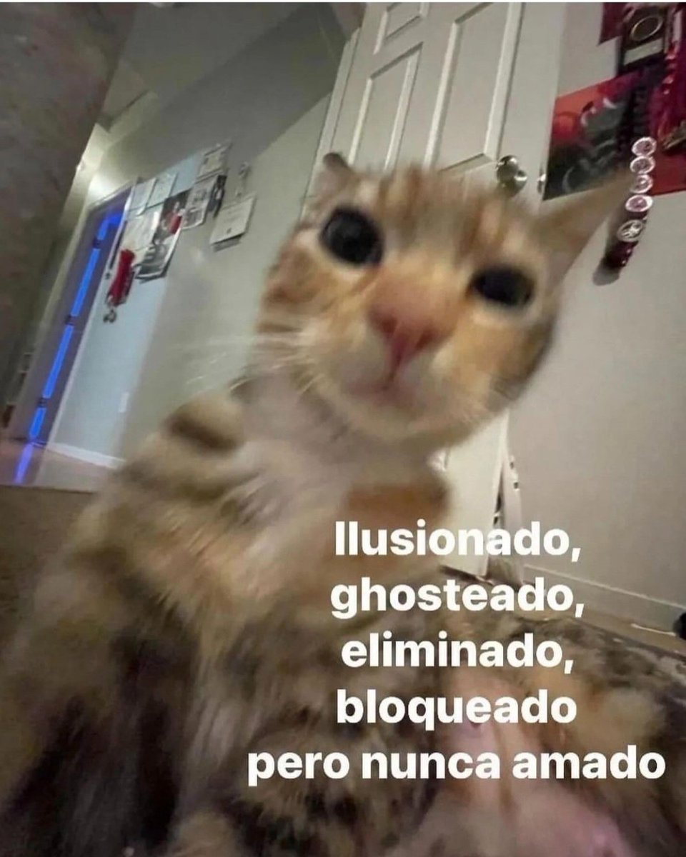 En Júpiter (@en_jupiter_) on Twitter photo 
