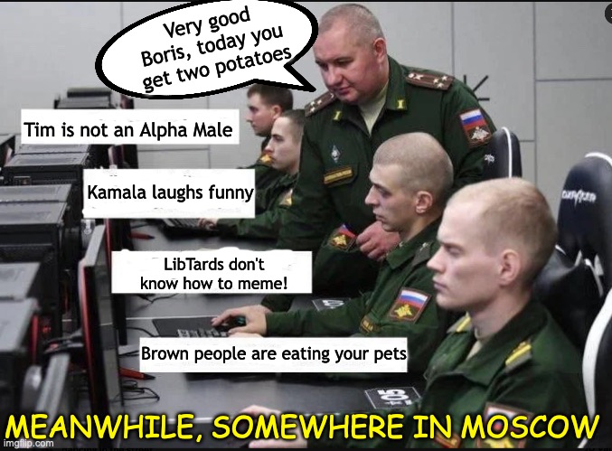 meanwhile somewhere in Moscow....
    the bots are earning their daily potato...

Why would anyone think that Kamala can't handle the job.... for THREE-AND-A-HALF years her job INCLUDED being ready to step up.