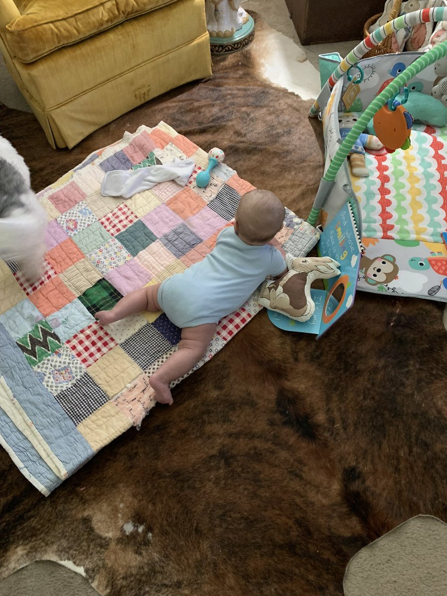 Meeshelle89's tweet photo. My baby rolled over 3 times today and no one saw, they just looked down and he was on his stomach all of a sudden and these pics are the only proof we have. https://t.co/cofWoRXQGP