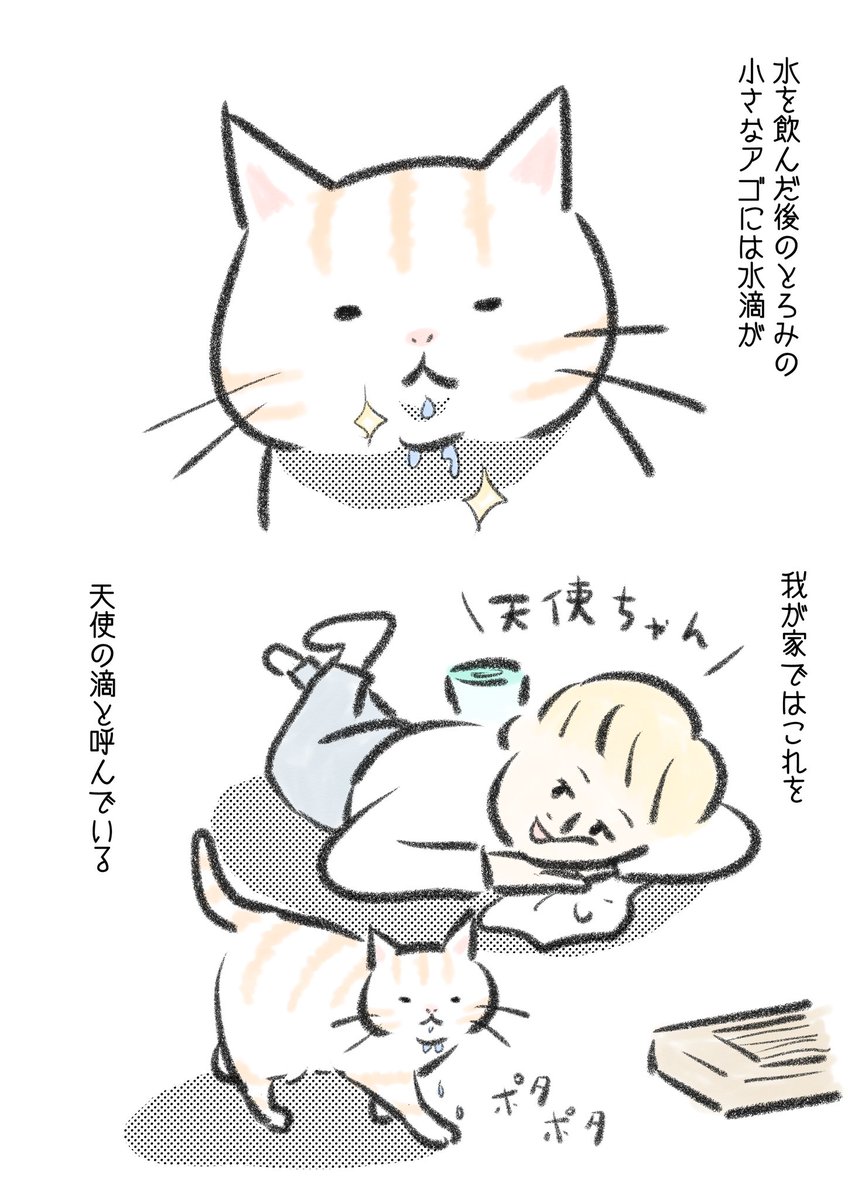 水を飲み続けて10年のとろみ。 