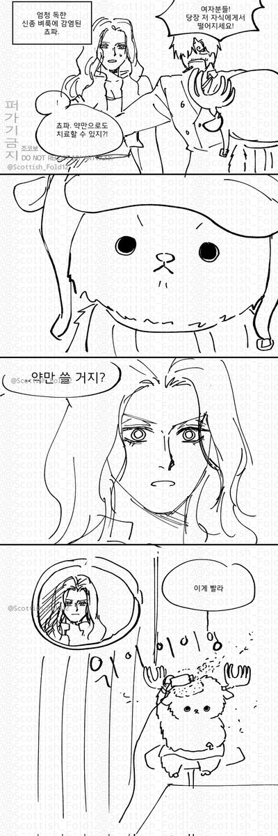 초코보🐤 tweet media