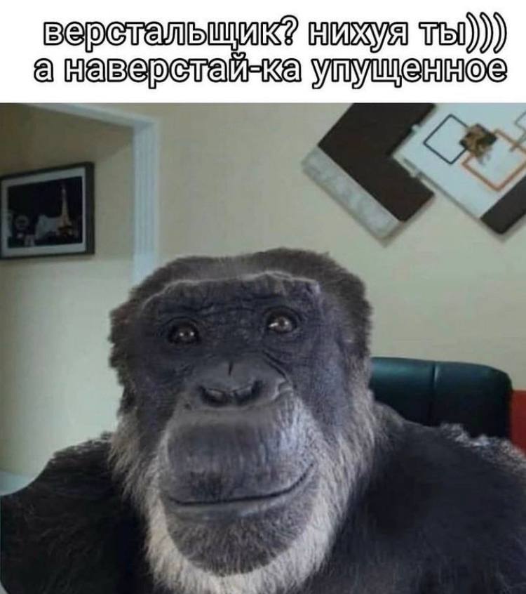 PivoDestruktiva's tweet photo. https://t.co/97VaeGGSCw