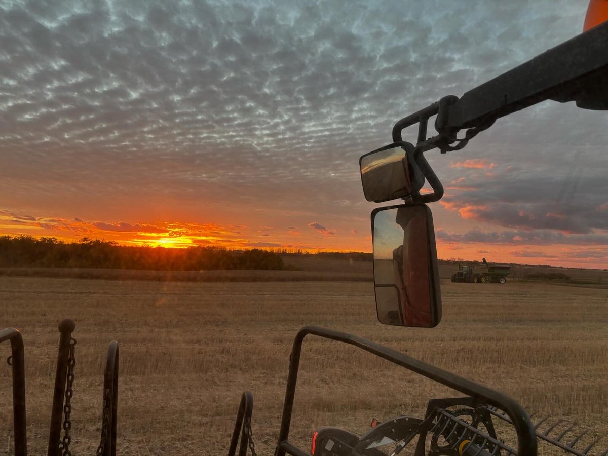 Alanna Koch tweet media