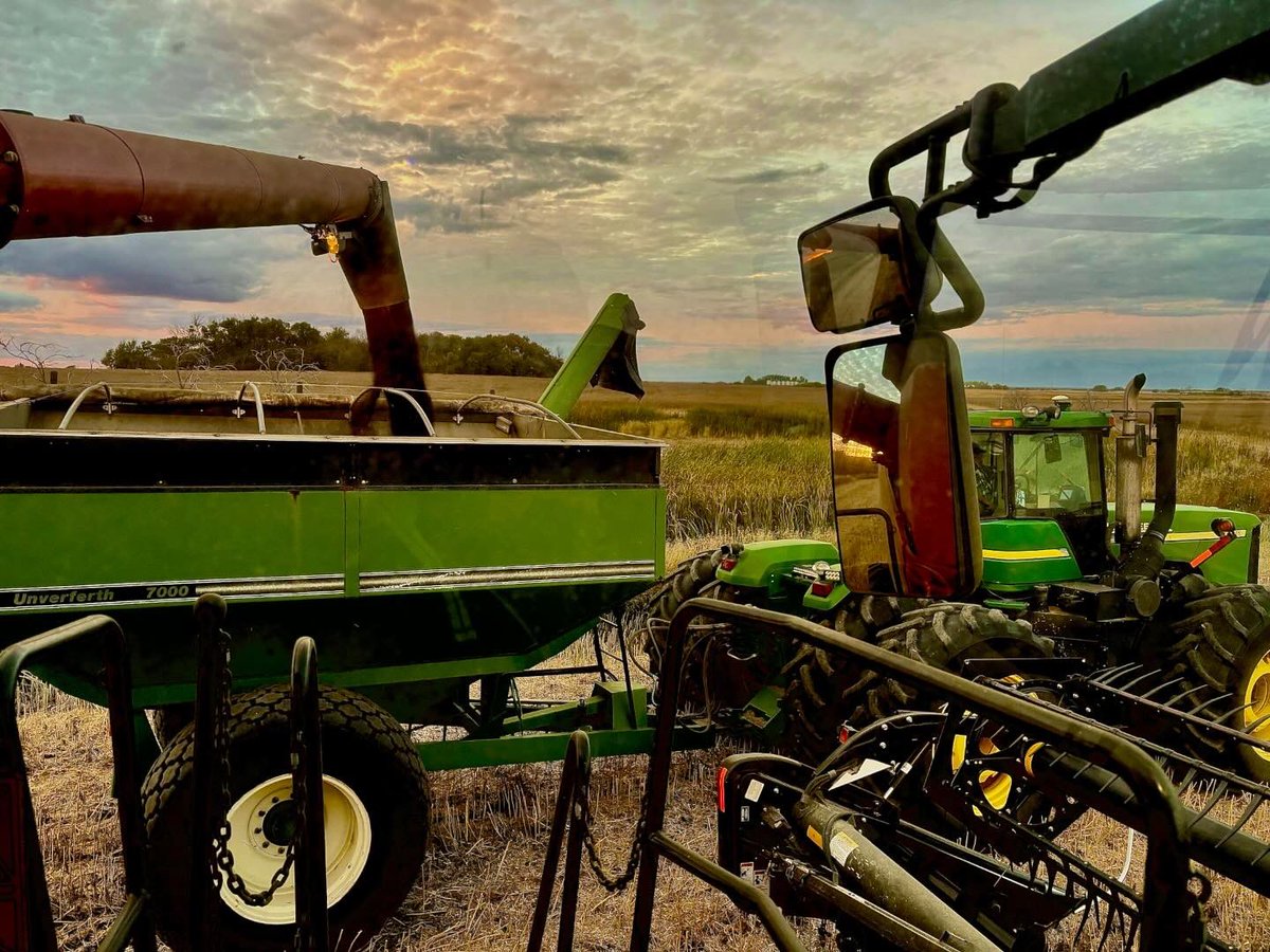 Alanna Koch tweet media