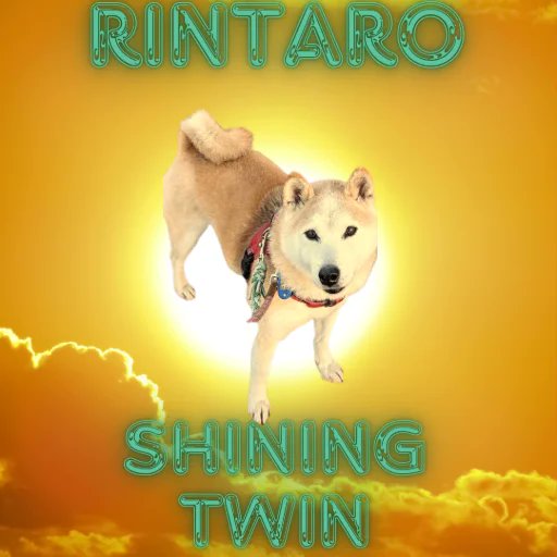 Rintaro tweet media