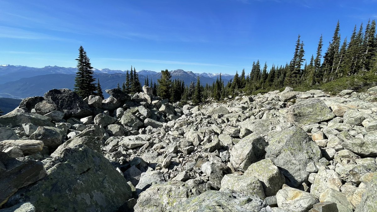 shinedon's tweet photo. Some pics from the Overlord to Marmot trail up on #Blackcomb https://t.co/GavxFYlMvu