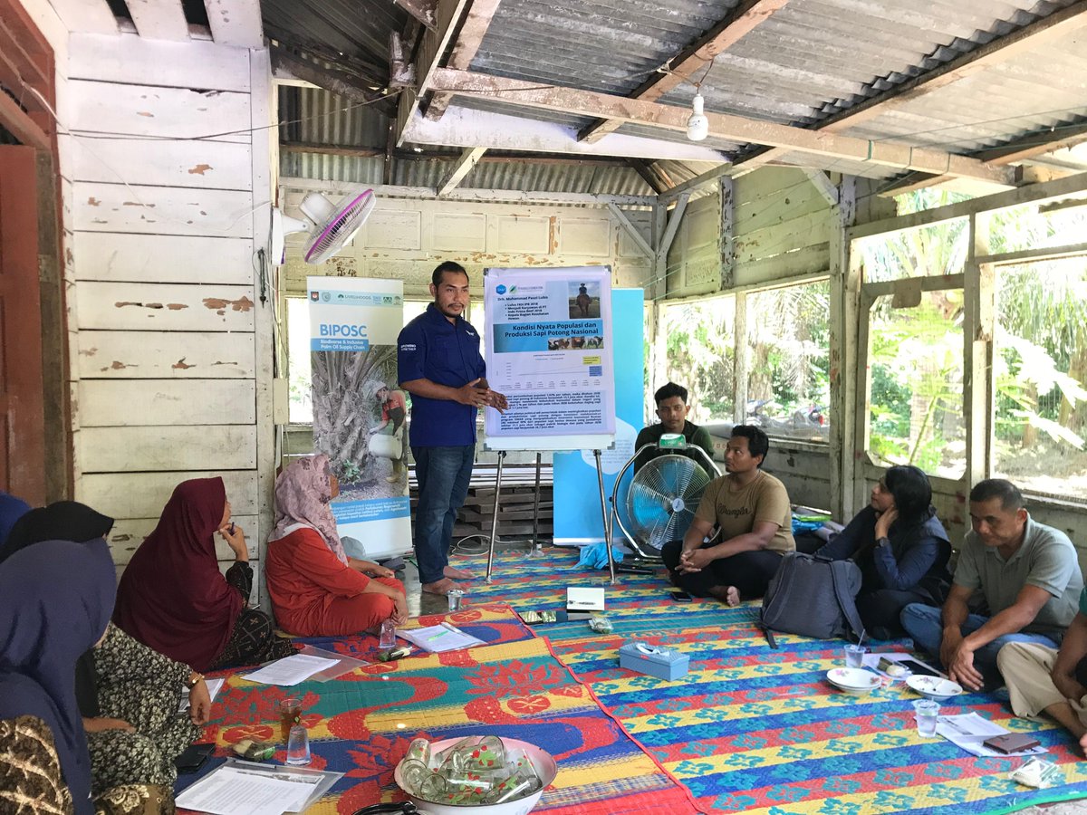 SNVIndonesia's tweet image. This week, we are enhancing capacity of 44 women farmers in Rantauprapat, North Sumatra, by for alternative income during the #PalmOil replanting season. We promote integrating agriculture with livestock, such as cattle and catfish, to diversify income and strengthen #livelihoods