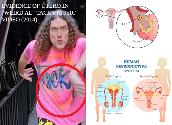 weirdalmpreg's tweet photo. 4 YEARS OF https://t.co/ZbrDMccw4M. THANK YOU TO ALL #WEIRDALMPREG BELIEVERS https://t.co/WYlB4KUZ8l
