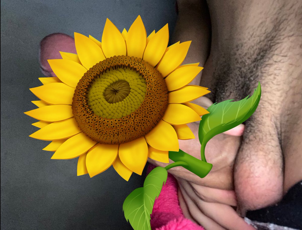 nivcoks's tweet photo. Creo que si le gustó su flor amarilla 🌻 https://t.co/4I6i1ax3LG