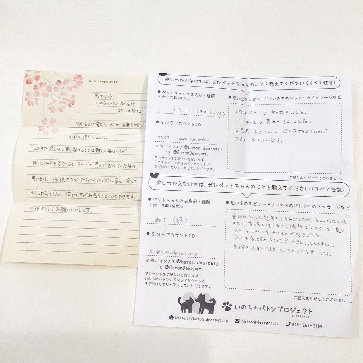 BatonDearpet's tweet photo. ディアペット埼玉に沢山の物資が届きました！皆さま優しいお気持ちとメッセージ、本当にありがとうございます🙏❤️
@nomochromepaint 
@tama3astray2nd https://t.co/59bUpZDuTV