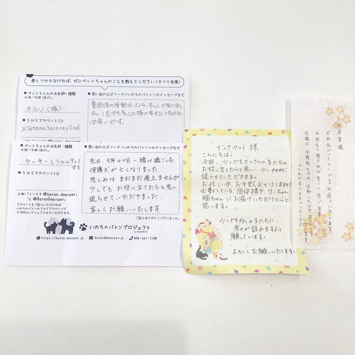 BatonDearpet's tweet photo. ディアペット埼玉に沢山の物資が届きました！皆さま優しいお気持ちとメッセージ、本当にありがとうございます🙏❤️
@nomochromepaint 
@tama3astray2nd https://t.co/59bUpZDuTV