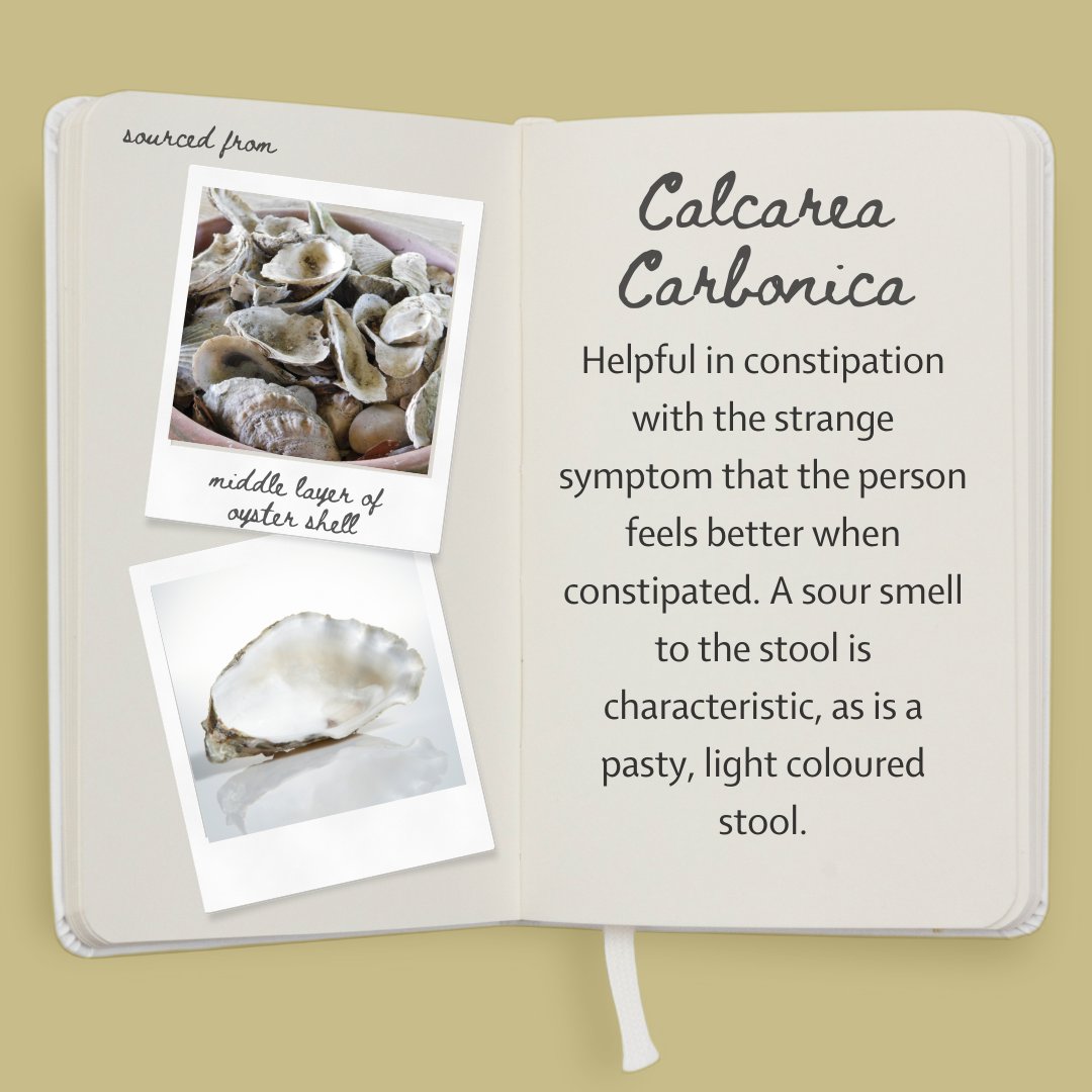 HomeopathyEdu's tweet photo. Calcarea Carbonica can be particularly useful in children's constipation. The stools are often hard and large at first, followed by softer, even diarrheic stools.
...
Our News article section covers a variety of topics, including many remedy pictures. https://t.co/hVoHEcEToz https://t.co/2046sq8w1m