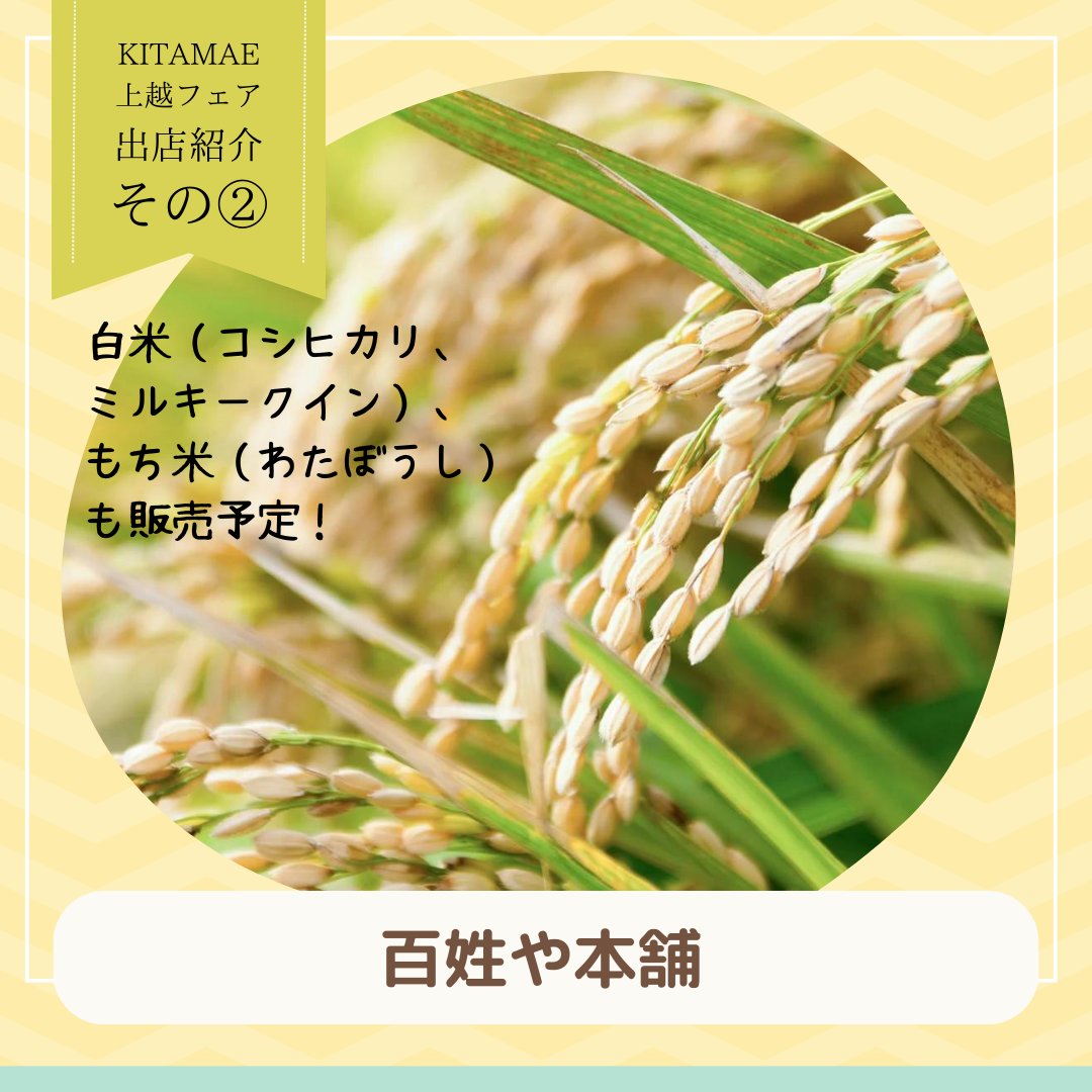 【KITAMAE　出店者紹介②】

百姓や本舗✨

この８月に認証された「きく芋粕漬け」と「きく芋醤油漬け」を販売します！
試食もあるので、健康にも美容にも効果的な万能野菜をぜひお試しください！
そのほか、おいしいお米各種もあります！